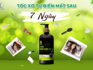Frizzy Hair Disappears After 7 Days - Solution with 8S Herbal Hair Conditioner