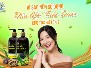 WHY SHOULD WE USE HERBAL SHAMPOO FOR DAMAGED HAIR?