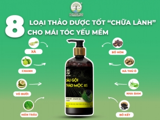TOP 8 EFFECTIVE HERBS THAT "HEAL" WEAK AND SOFT HAIR