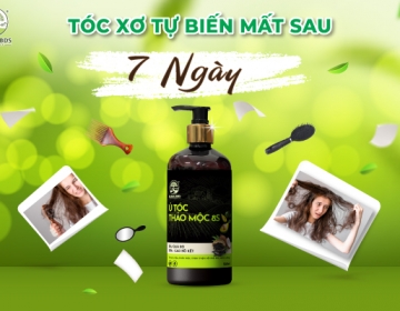 Frizzy Hair Disappears After 7 Days - Solution with 8S Herbal Hair Conditioner