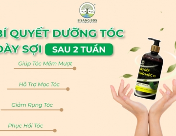 SECRETS TO TAKE CARE OF YOUR THICK HAIR AFTER 2 WEEKS WITH 8S HERBAL SHAMPOO