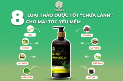 TOP 8 EFFECTIVE HERBS THAT "HEAL" WEAK AND SOFT HAIR