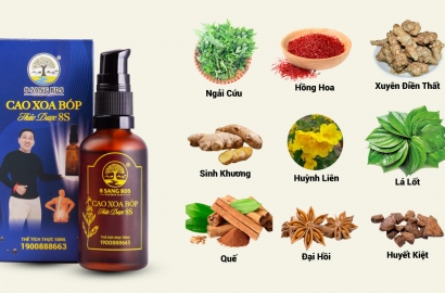 EXCELLENT INGREDIENTS OF MASSAGE BALM FROM VIETNAMESE MEDICINES